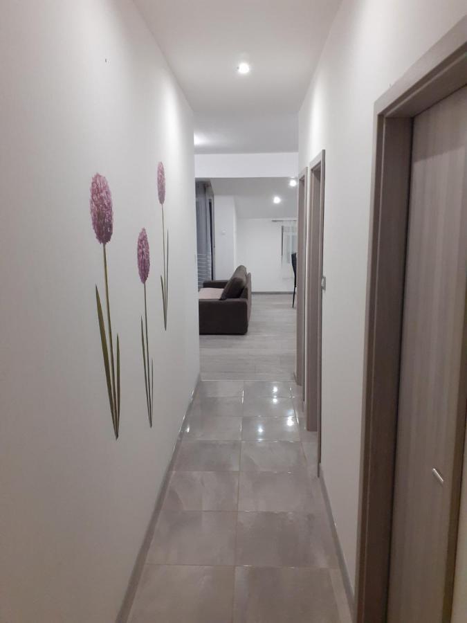 Apartmani Dream 普拉 外观 照片
